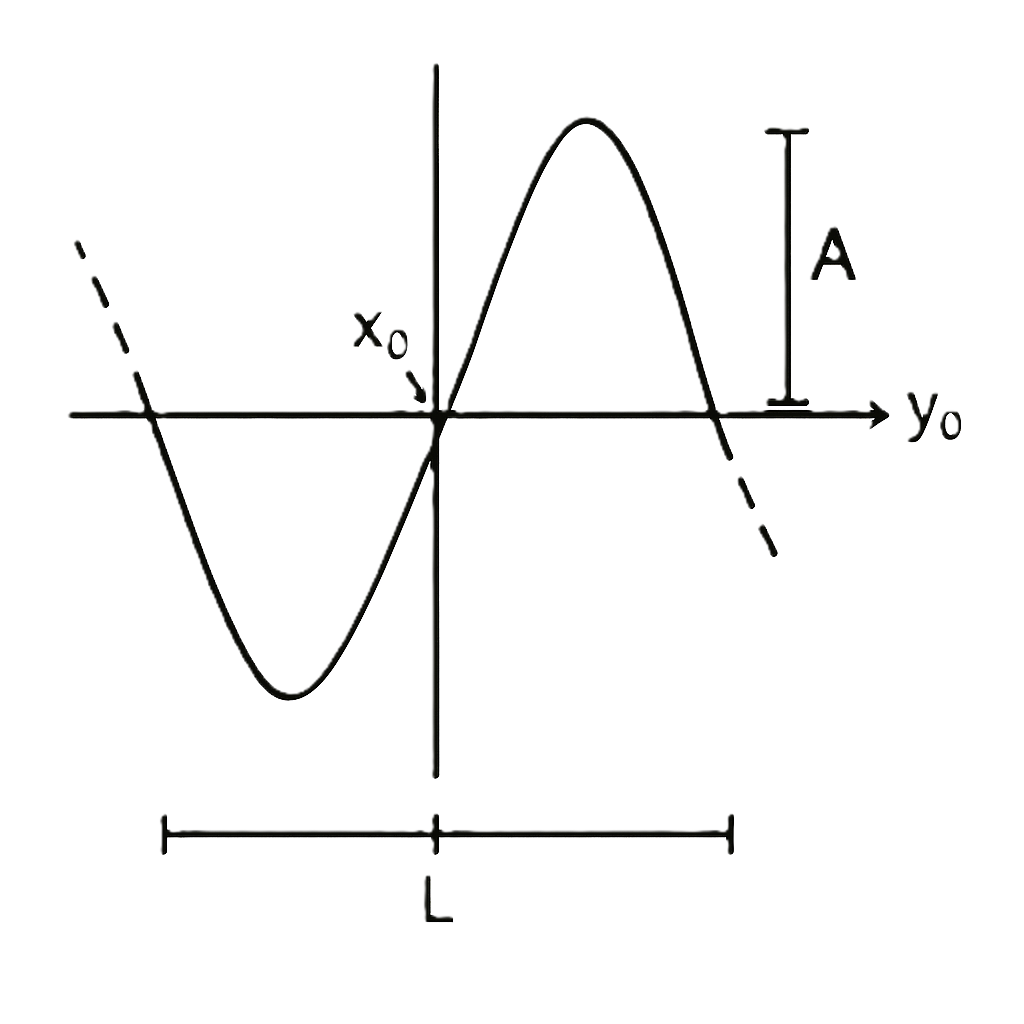 Trigonometric Function