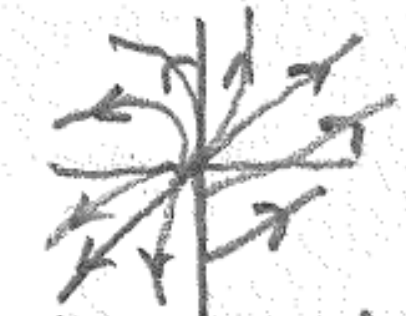 Degenerate node